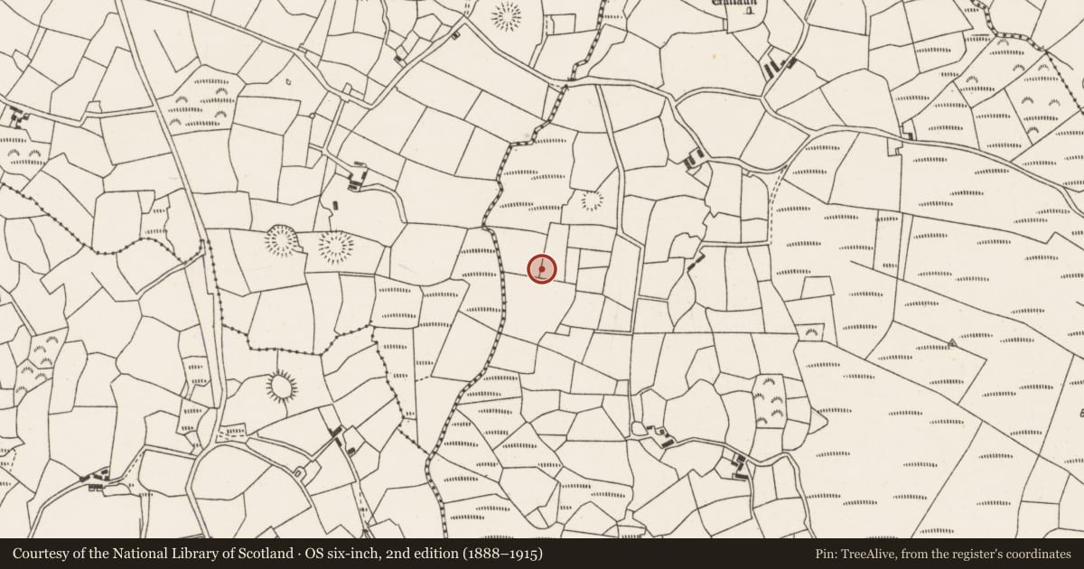 Ordnance Survey six-inch map, 2nd edition (1888–1915) covering the location of Fulacht fia, Knocknakilla, County Cork, with a pin at the register's coordinates