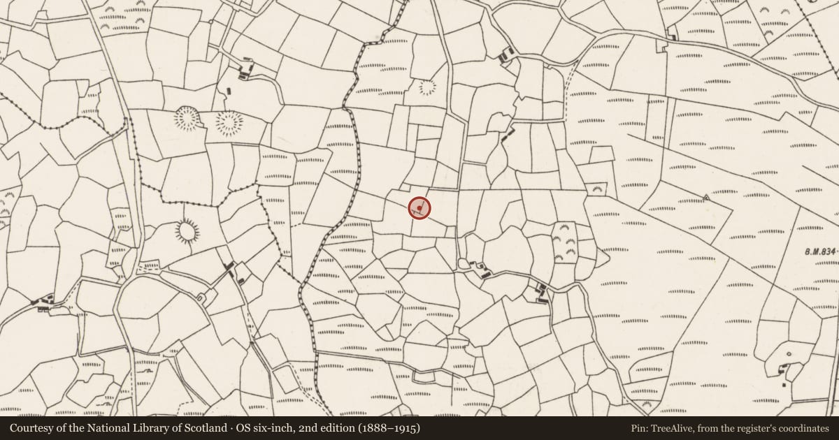 Ordnance Survey six-inch map, 2nd edition (1888–1915) covering the location of Souterrain, Knocknakilla, County Cork, with a pin at the register's coordinates