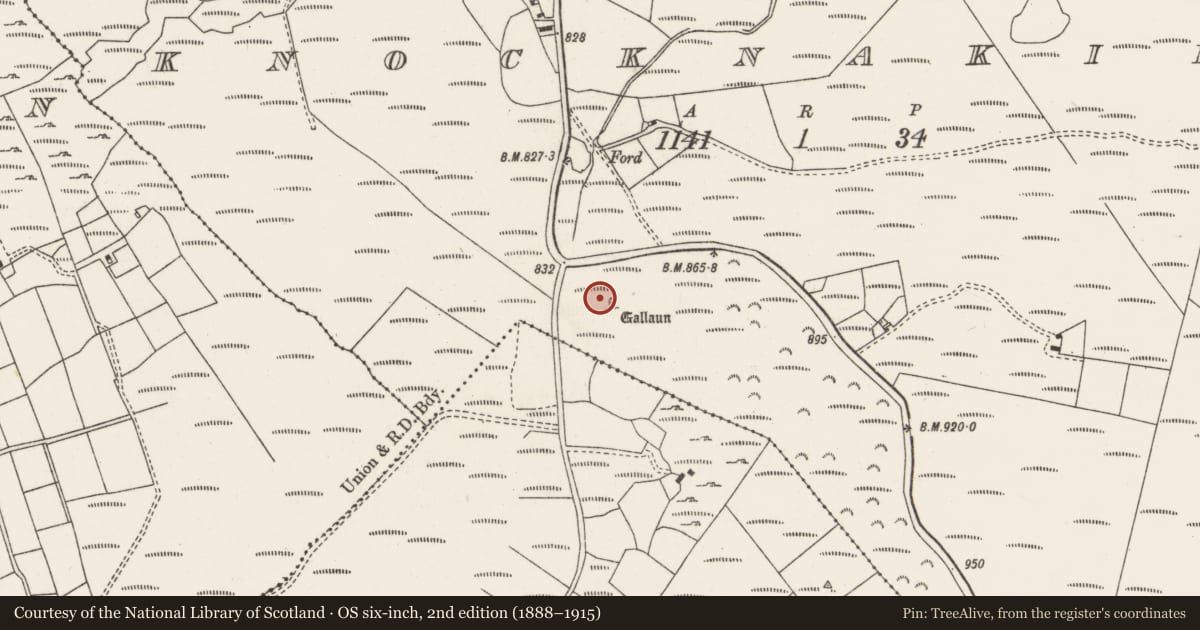 Ordnance Survey six-inch map, 2nd edition (1888–1915) covering the location of Standing stone, Knocknakilla, County Cork, with a pin at the register's coordinates