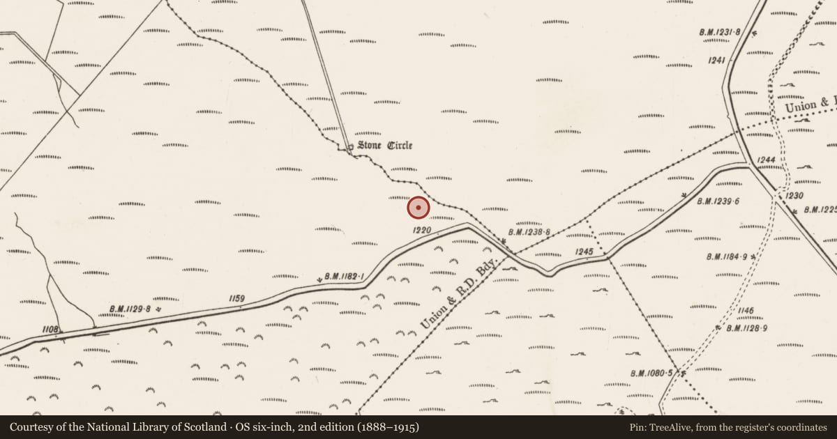 Ordnance Survey six-inch map, 2nd edition (1888–1915) covering the location of Hut site, Knocknakilla, County Cork, with a pin at the register's coordinates