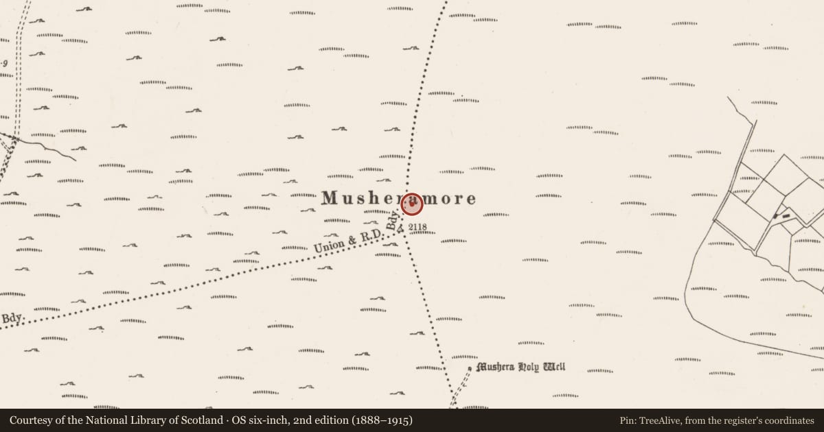 Ordnance Survey six-inch map, 2nd edition (1888–1915) covering the location of Hut site, Knocknagappul, County Cork, with a pin at the register's coordinates