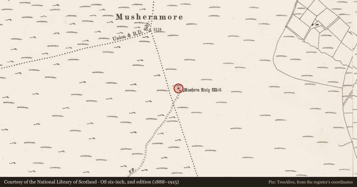 Ordnance Survey six-inch map, 2nd edition (1888–1915) covering the location of Ritual site - holy well, Knocknagappul, County Cork, with a pin at the register's coordinates