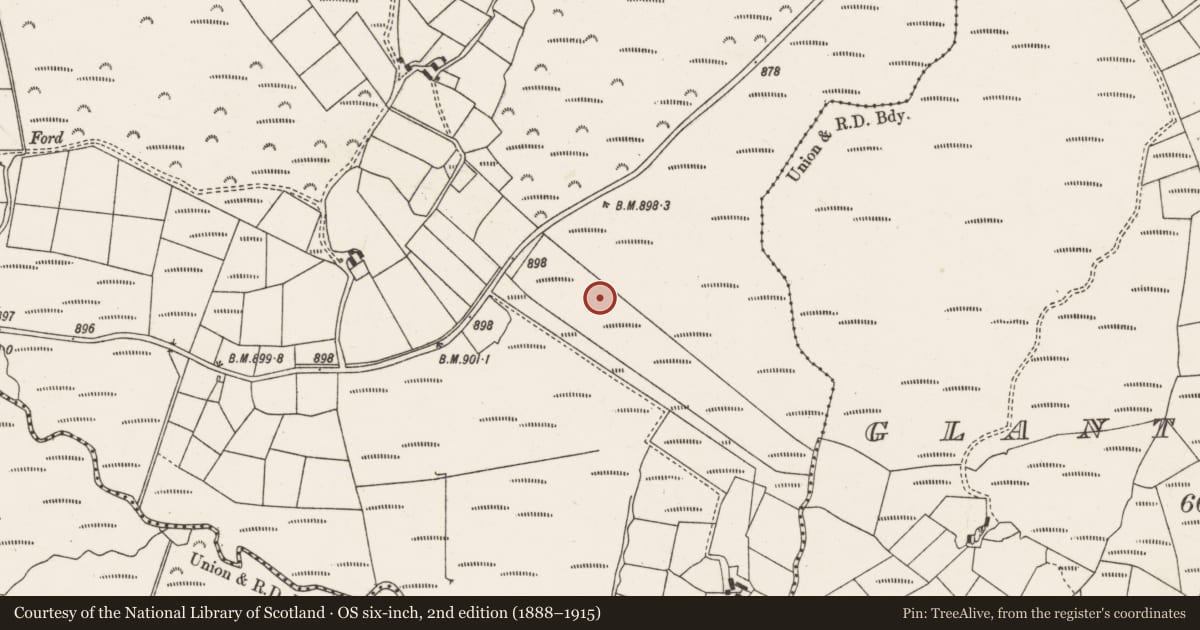 Ordnance Survey six-inch map, 2nd edition (1888–1915) covering the location of Megalithic tomb - wedge tomb, Caherdowney, County Cork, with a pin at the register's coordinates