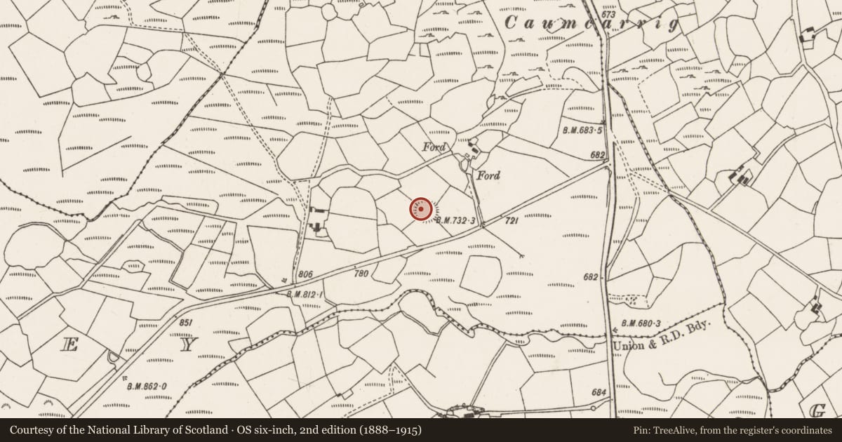 Ordnance Survey six-inch map, 2nd edition (1888–1915) covering the location of Ringfort - rath, Caherdowney, County Cork, with a pin at the register's coordinates