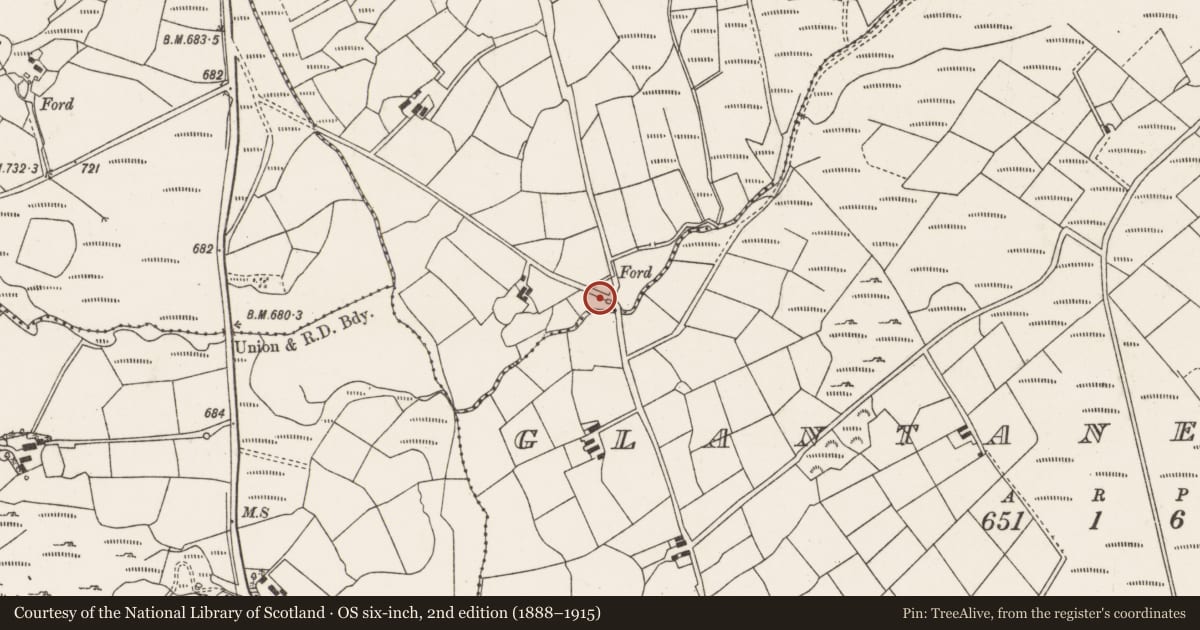 Ordnance Survey six-inch map, 2nd edition (1888–1915) covering the location of Kiln - lime, Carrigacooleen, County Cork, with a pin at the register's coordinates