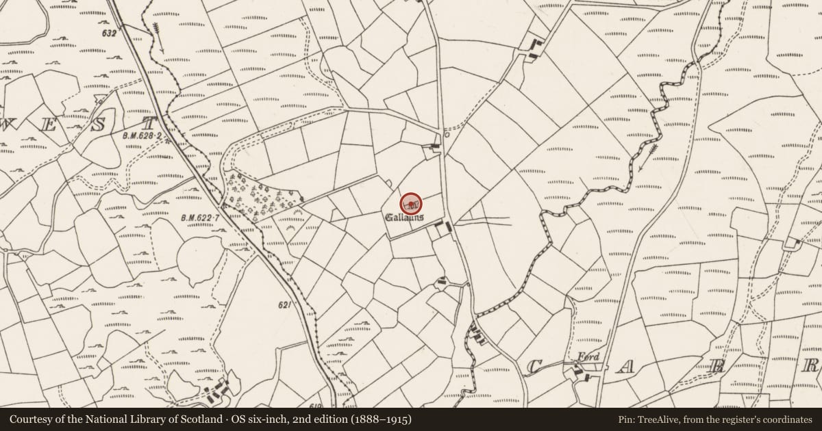 Ordnance Survey six-inch map, 2nd edition (1888–1915) covering the location of Stone row, Glantane East, County Cork, with a pin at the register's coordinates