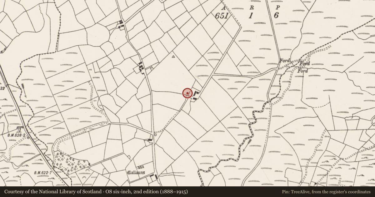 Ordnance Survey six-inch map, 2nd edition (1888–1915) covering the location of Stone circle - multiple-stone, Glantane East, County Cork, with a pin at the register's coordinates