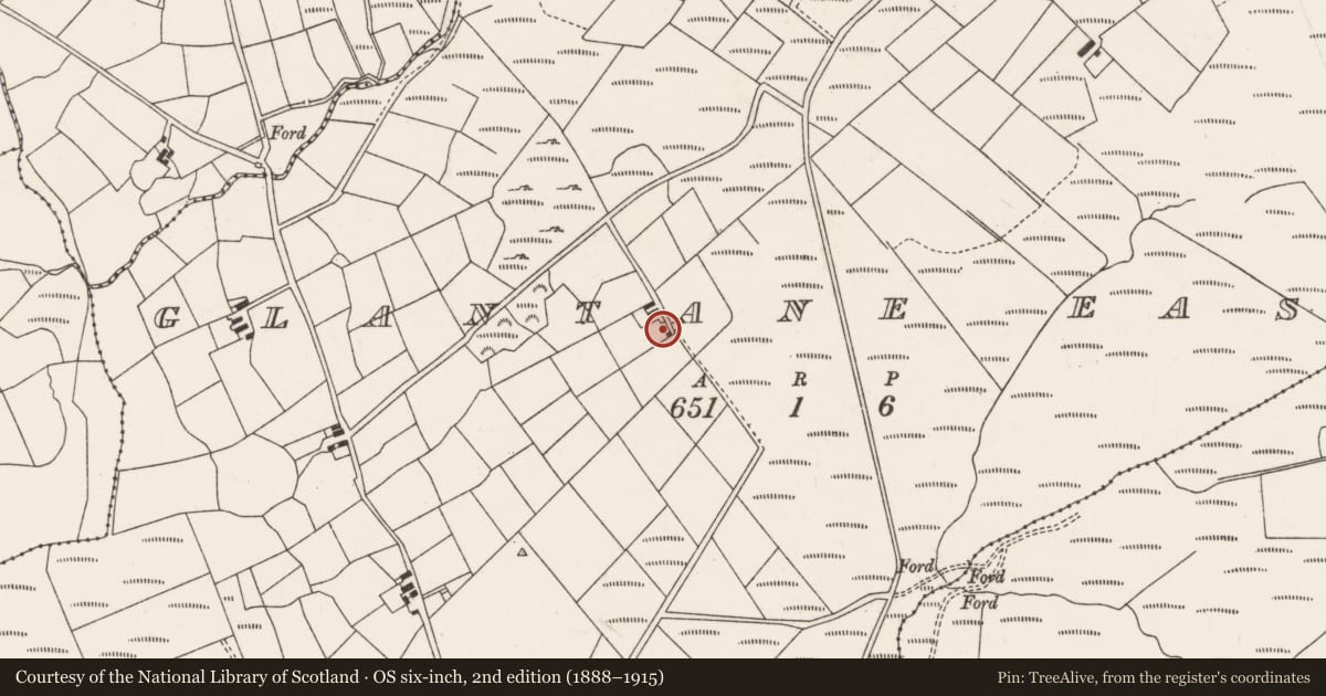 Ordnance Survey six-inch map, 2nd edition (1888–1915) covering the location of Standing stone, Glantane East, County Cork, with a pin at the register's coordinates