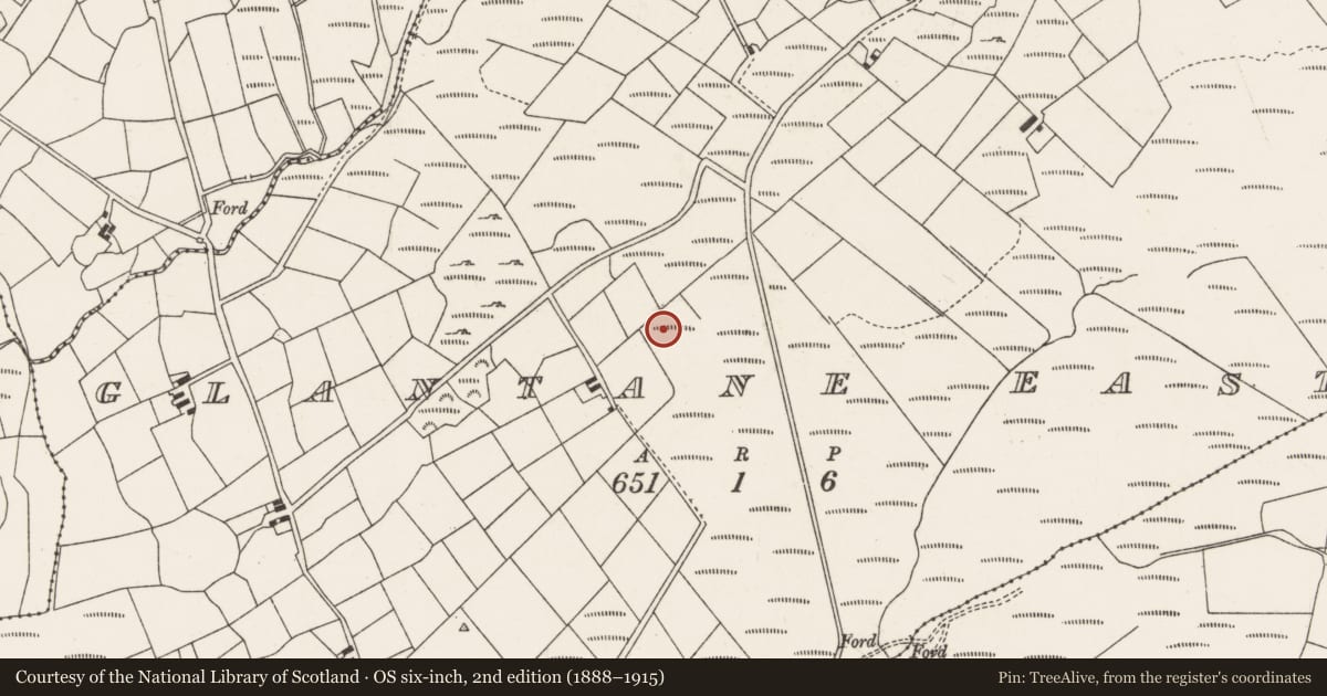 Ordnance Survey six-inch map, 2nd edition (1888–1915) covering the location of Megalithic tomb - wedge tomb, Glantane East, County Cork, with a pin at the register's coordinates