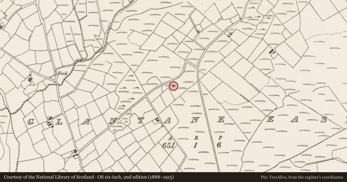 Ordnance Survey six-inch map, 2nd edition (1888–1915) covering the location of Standing stone, Glantane East, County Cork, with a pin at the register's coordinates