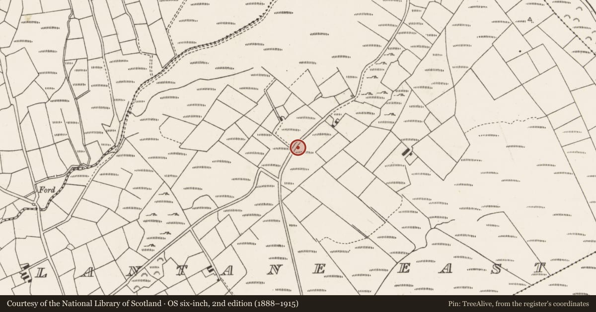 Ordnance Survey six-inch map, 2nd edition (1888–1915) covering the location of Standing stone - pair, Glantane East, County Cork, with a pin at the register's coordinates