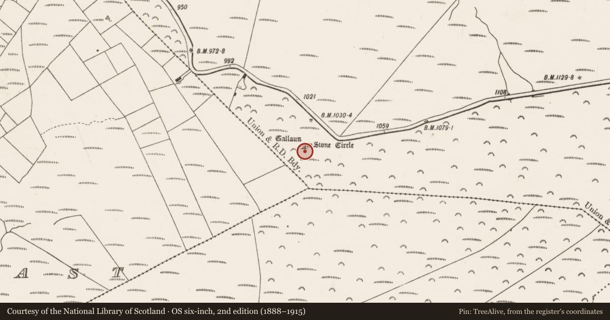 Ordnance Survey six-inch map, 2nd edition (1888–1915) covering the location of Standing stone - pair, Knocknakilla, County Cork, with a pin at the register's coordinates