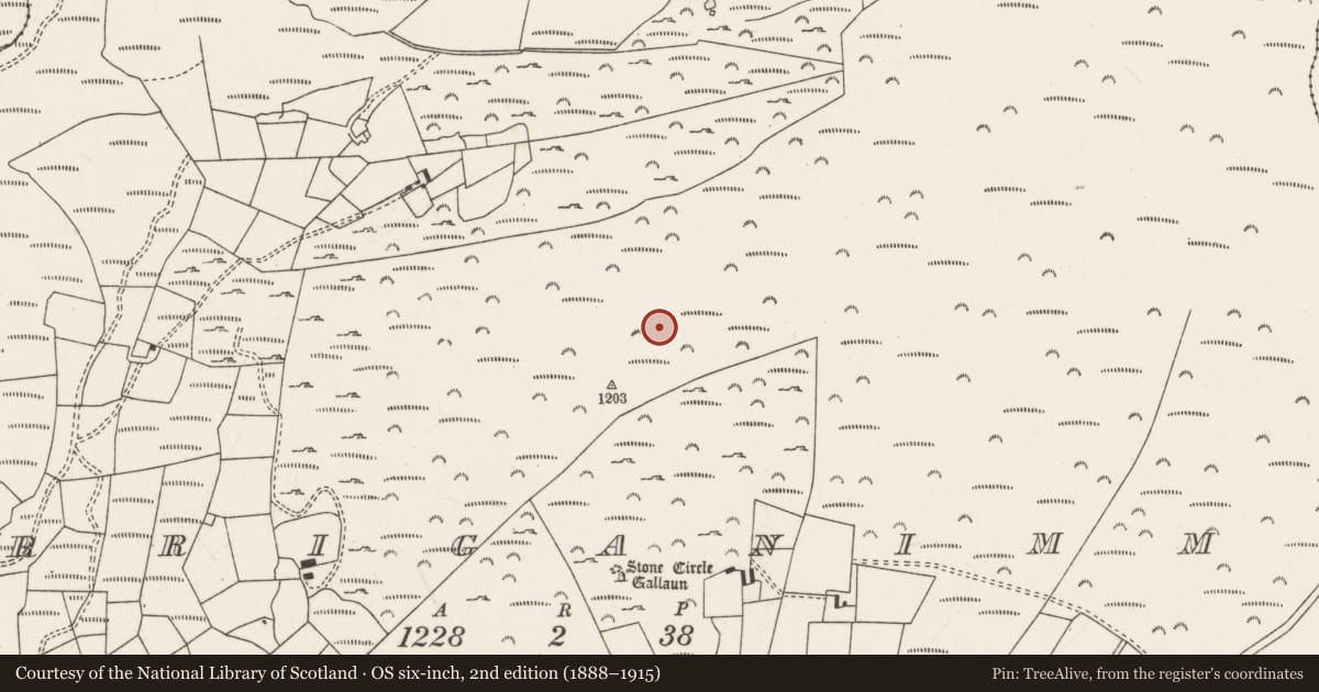 Ordnance Survey six-inch map, 2nd edition (1888–1915) covering the location of Barrow - ring-barrow, Carriganimmy, County Cork, with a pin at the register's coordinates