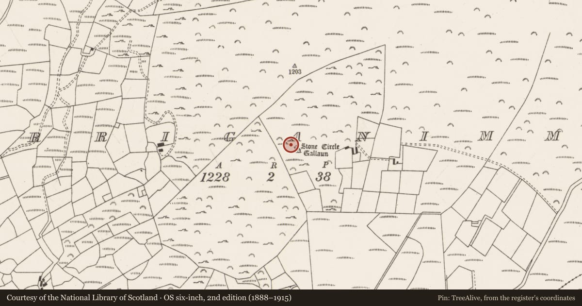 Ordnance Survey six-inch map, 2nd edition (1888–1915) covering the location of Stone circle - five-stone, Carriganimmy, County Cork, with a pin at the register's coordinates