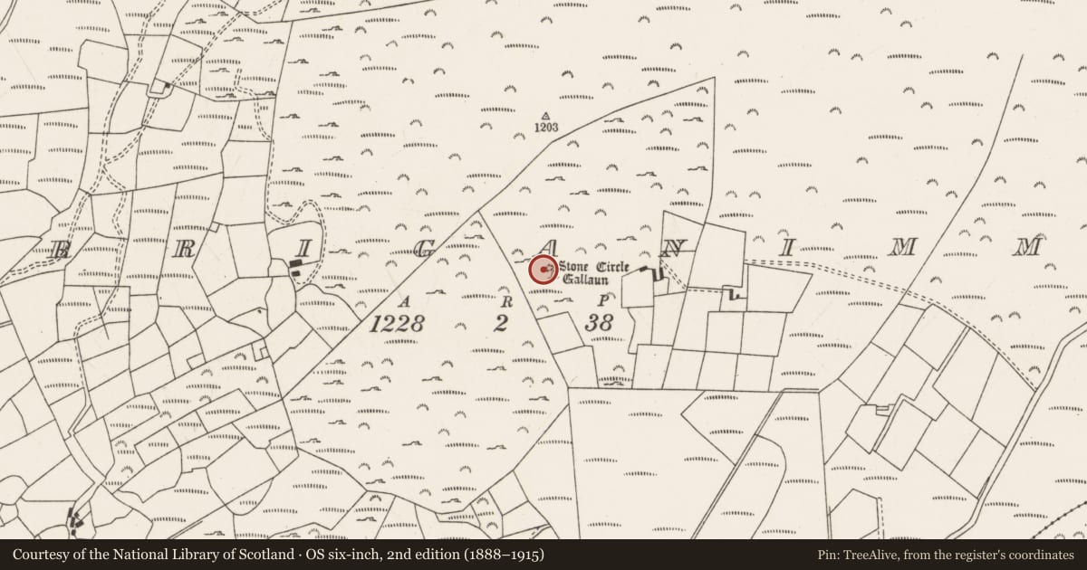 Ordnance Survey six-inch map, 2nd edition (1888–1915) covering the location of Standing stone, Carriganimmy, County Cork, with a pin at the register's coordinates