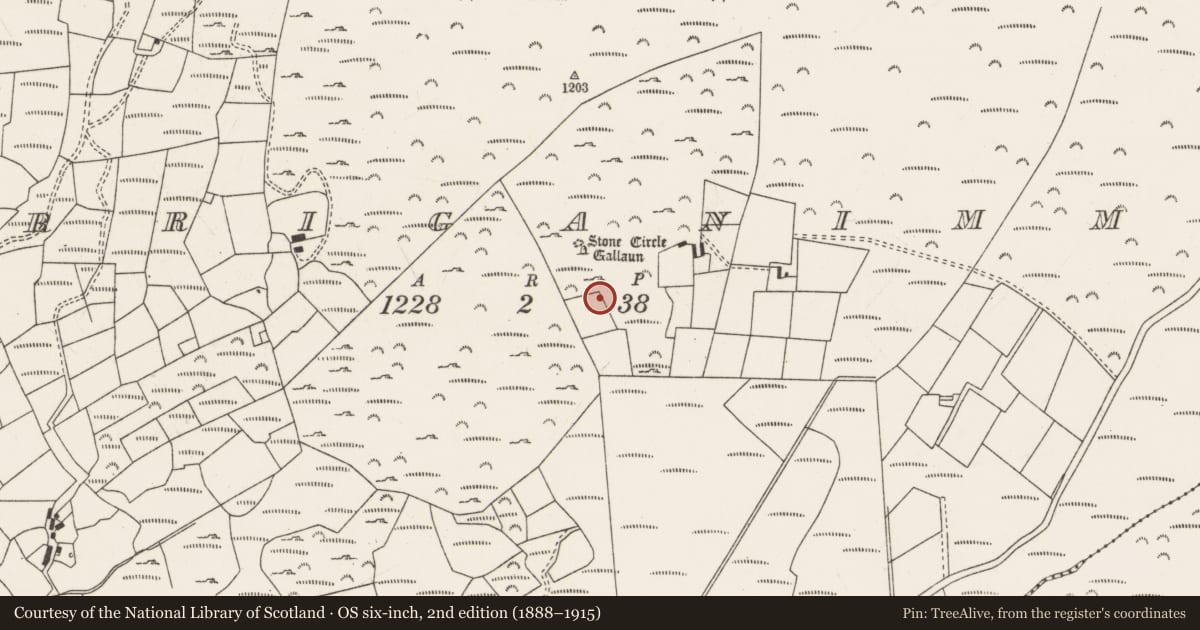 Ordnance Survey six-inch map, 2nd edition (1888–1915) covering the location of Field boundary, Carriganimmy, County Cork, with a pin at the register's coordinates