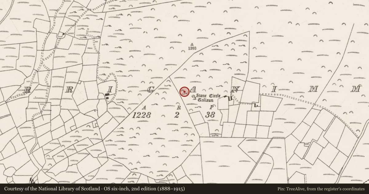 Ordnance Survey six-inch map, 2nd edition (1888–1915) covering the location of Hut site, Carriganimmy, County Cork, with a pin at the register's coordinates