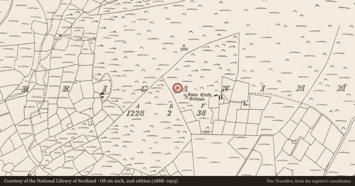Ordnance Survey six-inch map, 2nd edition (1888–1915) covering the location of Cairn - unclassified, Carriganimmy, County Cork, with a pin at the register's coordinates