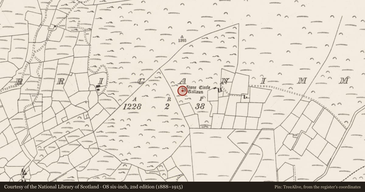 Ordnance Survey six-inch map, 2nd edition (1888–1915) covering the location of Hut site, Carriganimmy, County Cork, with a pin at the register's coordinates