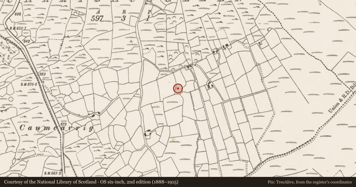 Ordnance Survey six-inch map, 2nd edition (1888–1915) covering the location of Fulacht fia, Carrigacooleen, County Cork, with a pin at the register's coordinates