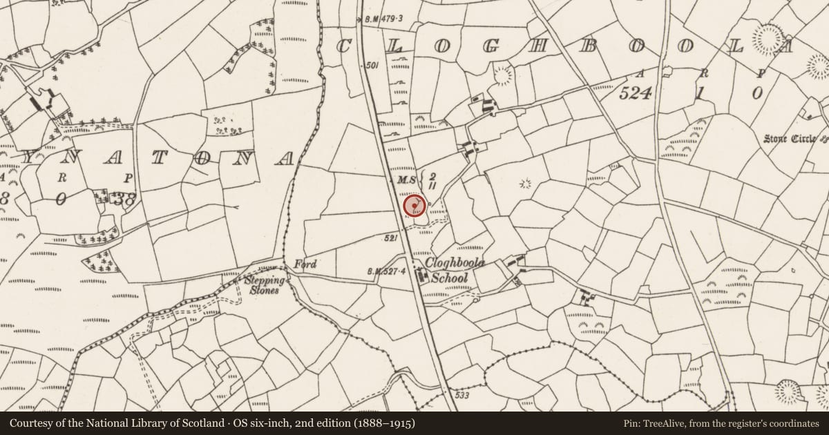 Ordnance Survey six-inch map, 2nd edition (1888–1915) covering the location of Fulacht fia, Cloghboola More, County Cork, with a pin at the register's coordinates