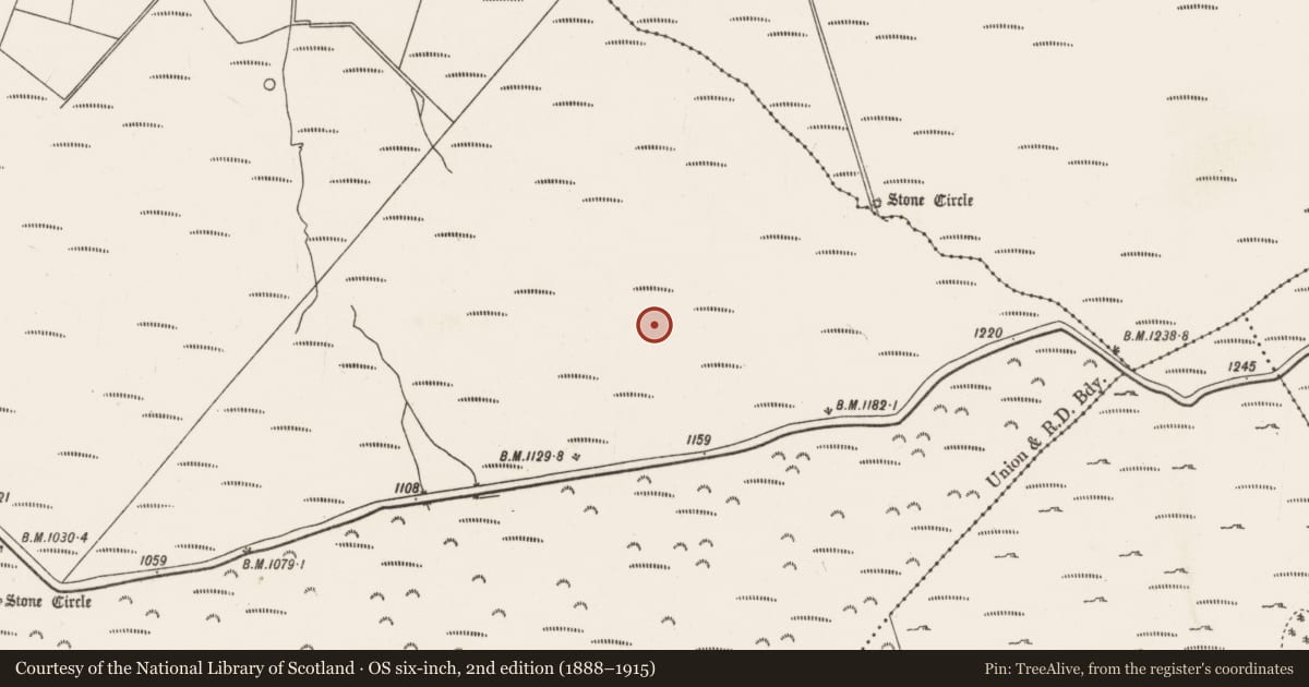 Ordnance Survey six-inch map, 2nd edition (1888–1915) covering the location of Fulacht fia, Knocknakilla, County Cork, with a pin at the register's coordinates