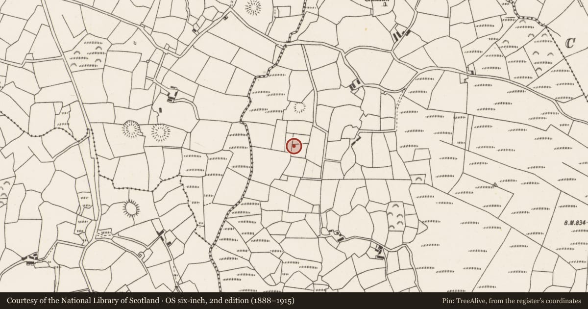 Ordnance Survey six-inch map, 2nd edition (1888–1915) covering the location of Fulacht fia, Knocknakilla, County Cork, with a pin at the register's coordinates
