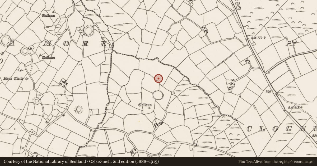 Ordnance Survey six-inch map, 2nd edition (1888–1915) covering the location of Fulacht fia, Knocknakilla, County Cork, with a pin at the register's coordinates