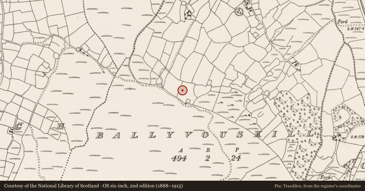 Ordnance Survey six-inch map, 2nd edition (1888–1915) covering the location of Ringfort - rath, Ballyvouskill, County Cork, with a pin at the register's coordinates