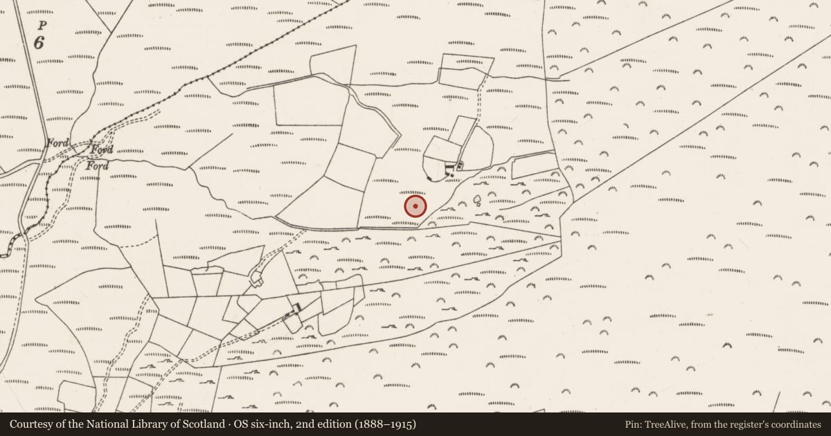 Ordnance Survey six-inch map, 2nd edition (1888–1915) covering the location of Fulacht fia, Carriganimmy, County Cork, with a pin at the register's coordinates