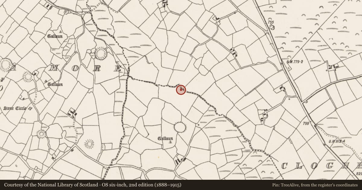 Ordnance Survey six-inch map, 2nd edition (1888–1915) covering the location of Fulacht fia, Knocknakilla, County Cork, with a pin at the register's coordinates