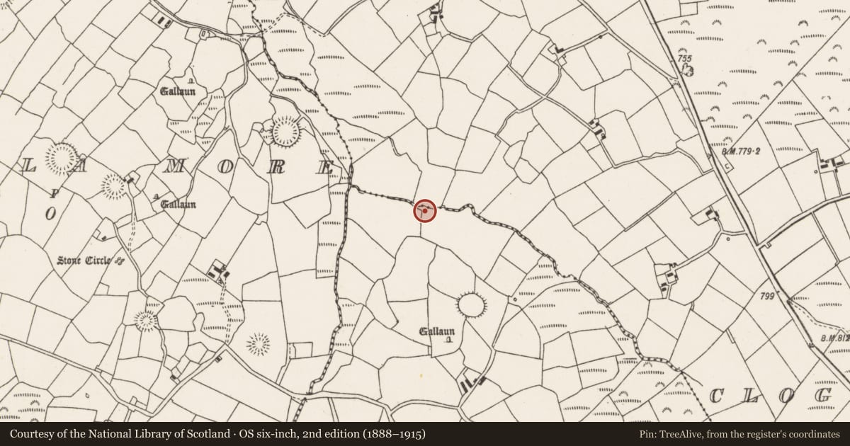 Ordnance Survey six-inch map, 2nd edition (1888–1915) covering the location of Fulacht fia, Knocknakilla, County Cork, with a pin at the register's coordinates