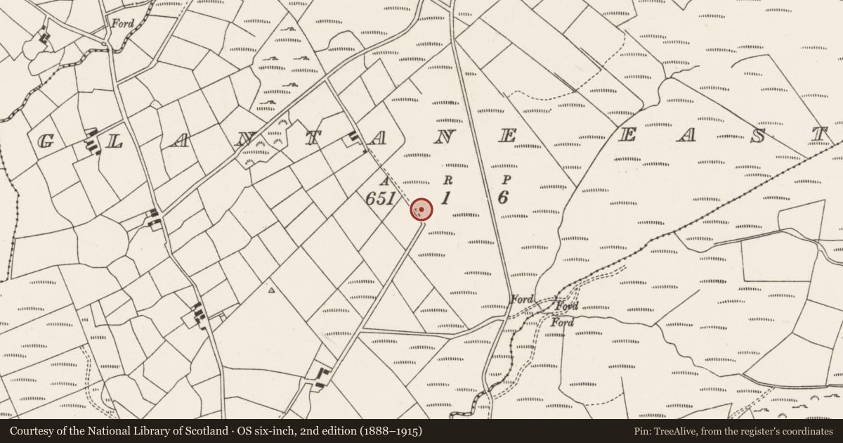 Ordnance Survey six-inch map, 2nd edition (1888–1915) covering the location of Fulacht fia, Glantane East, County Cork, with a pin at the register's coordinates