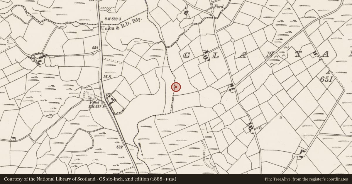 Ordnance Survey six-inch map, 2nd edition (1888–1915) covering the location of Fulacht fia, Glantane East, County Cork, with a pin at the register's coordinates