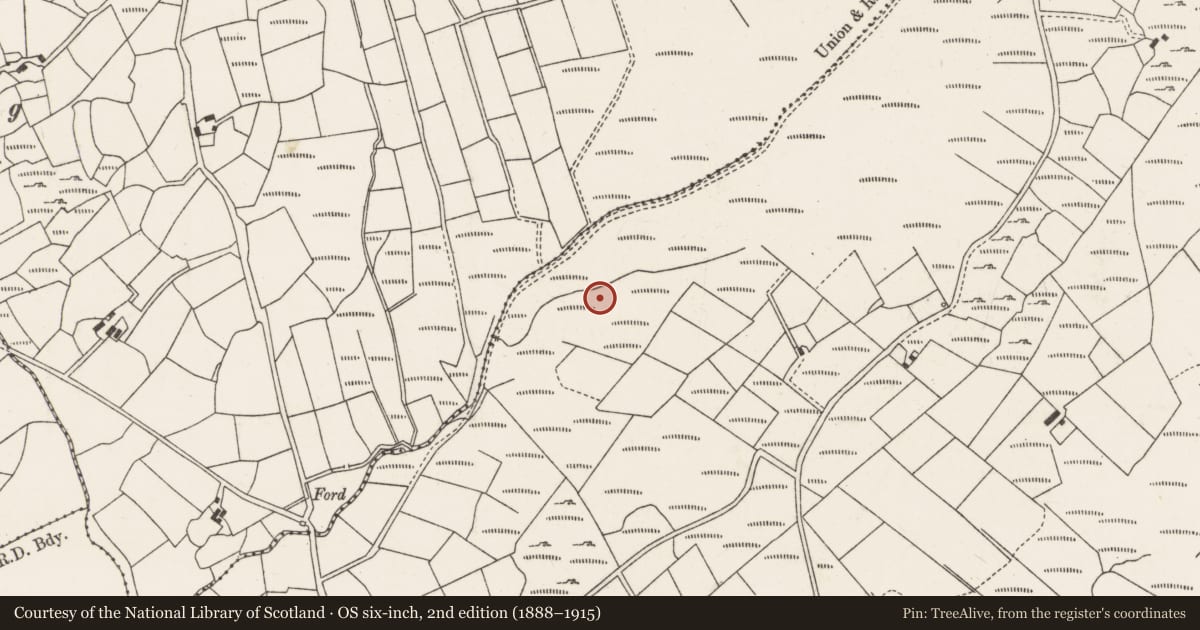 Ordnance Survey six-inch map, 2nd edition (1888–1915) covering the location of Fulacht fia, Glantane East, County Cork, with a pin at the register's coordinates