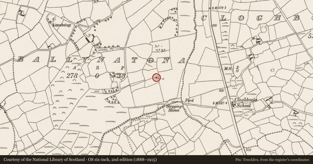 Ordnance Survey six-inch map, 2nd edition (1888–1915) covering the location of Fulacht fia, Ballynatona, County Cork, with a pin at the register's coordinates