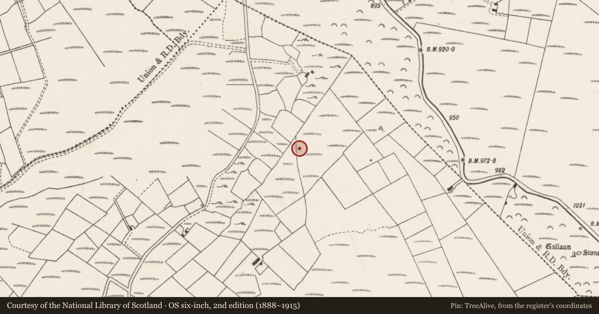 Ordnance Survey six-inch map, 2nd edition (1888–1915) covering the location of Church, Glantane East, County Cork, with a pin at the register's coordinates