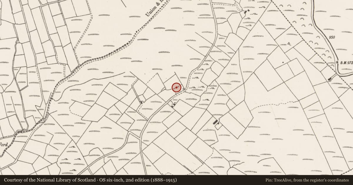 Ordnance Survey six-inch map, 2nd edition (1888–1915) covering the location of Enclosure, Glantane East, County Cork, with a pin at the register's coordinates