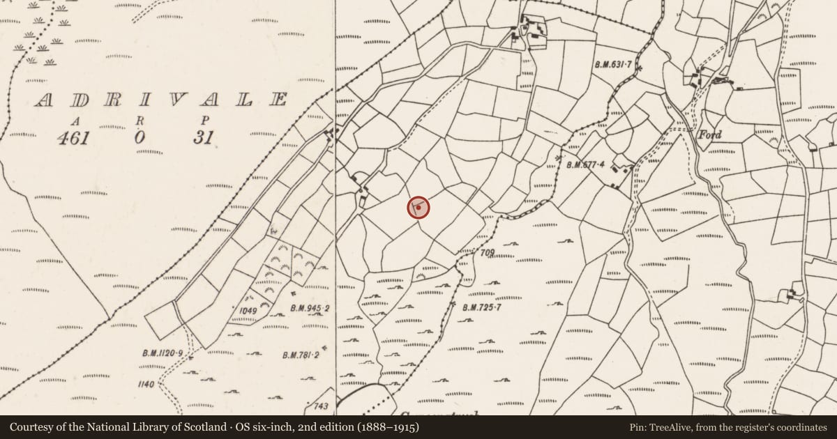 Ordnance Survey six-inch map, 2nd edition (1888–1915) covering the location of Souterrain, Gneeves, County Cork, with a pin at the register's coordinates