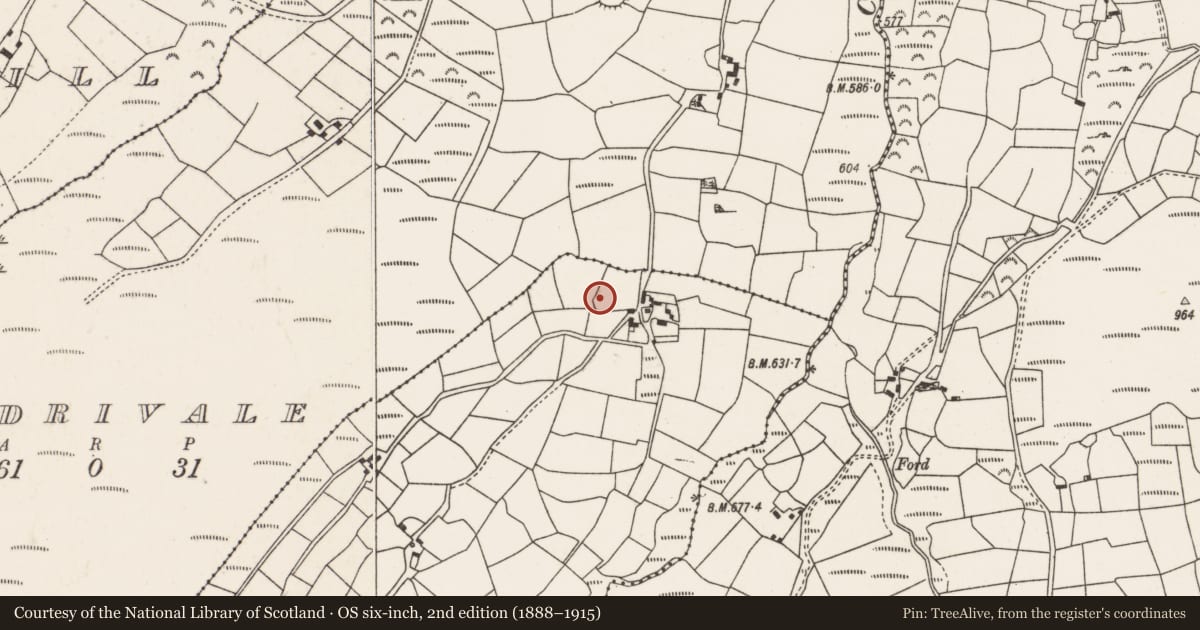 Ordnance Survey six-inch map, 2nd edition (1888–1915) covering the location of Ringfort - rath, Gneeves, County Cork, with a pin at the register's coordinates