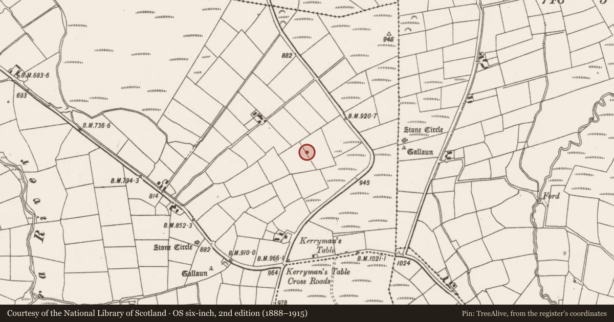Ordnance Survey six-inch map, 2nd edition (1888–1915) covering the location of Barrow - ring-barrow, Tullig, County Cork, with a pin at the register's coordinates
