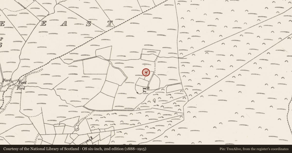 Ordnance Survey six-inch map, 2nd edition (1888–1915) covering the location of Megalithic tomb - wedge tomb, Carriganimmy, County Cork, with a pin at the register's coordinates
