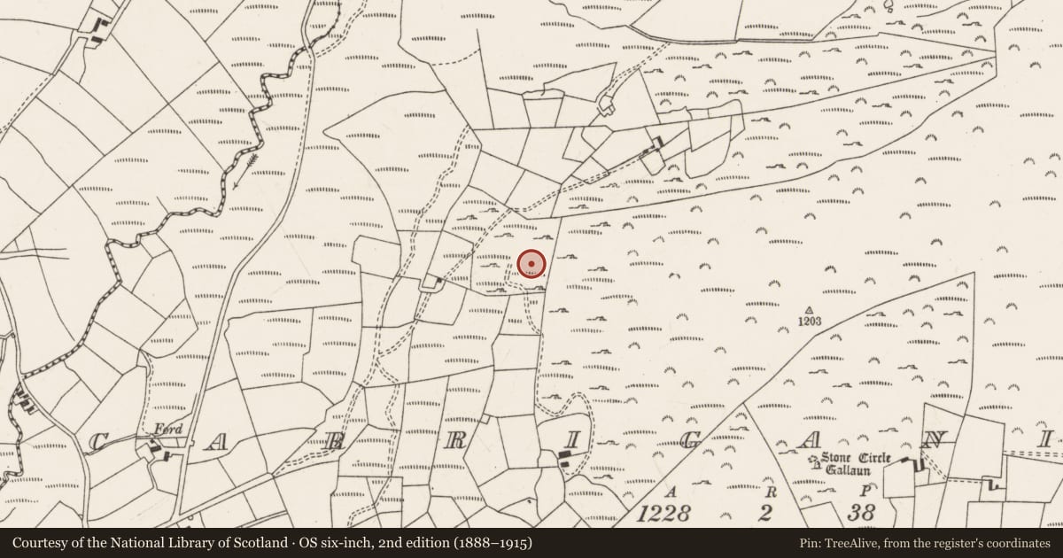 Ordnance Survey six-inch map, 2nd edition (1888–1915) covering the location of Megalithic tomb - wedge tomb, Carriganimmy, County Cork, with a pin at the register's coordinates