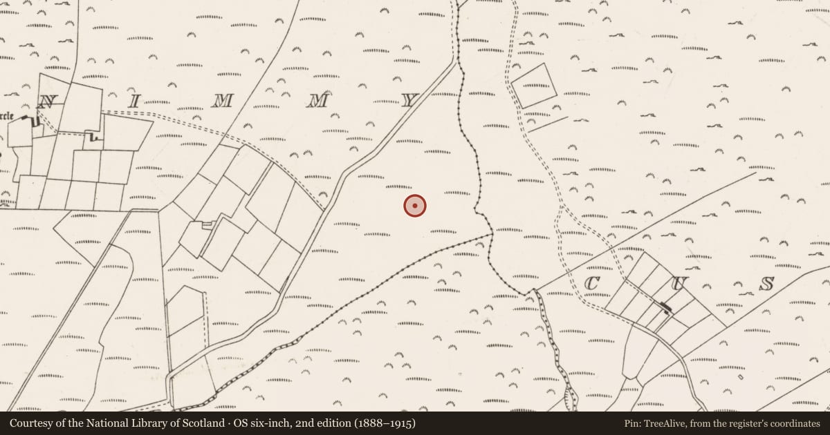Ordnance Survey six-inch map, 2nd edition (1888–1915) covering the location of Standing stone - pair, Carriganimmy, County Cork, with a pin at the register's coordinates