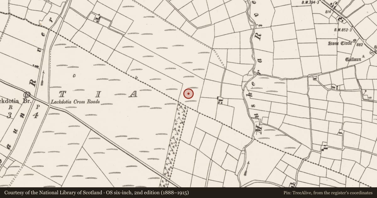 Ordnance Survey six-inch map, 2nd edition (1888–1915) covering the location of Standing stone, Tullig, County Cork, with a pin at the register's coordinates