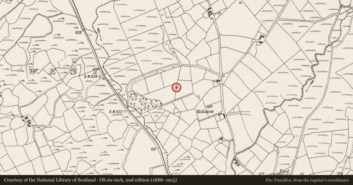 Ordnance Survey six-inch map, 2nd edition (1888–1915) covering the location of Cist, Glantane East, County Cork, with a pin at the register's coordinates