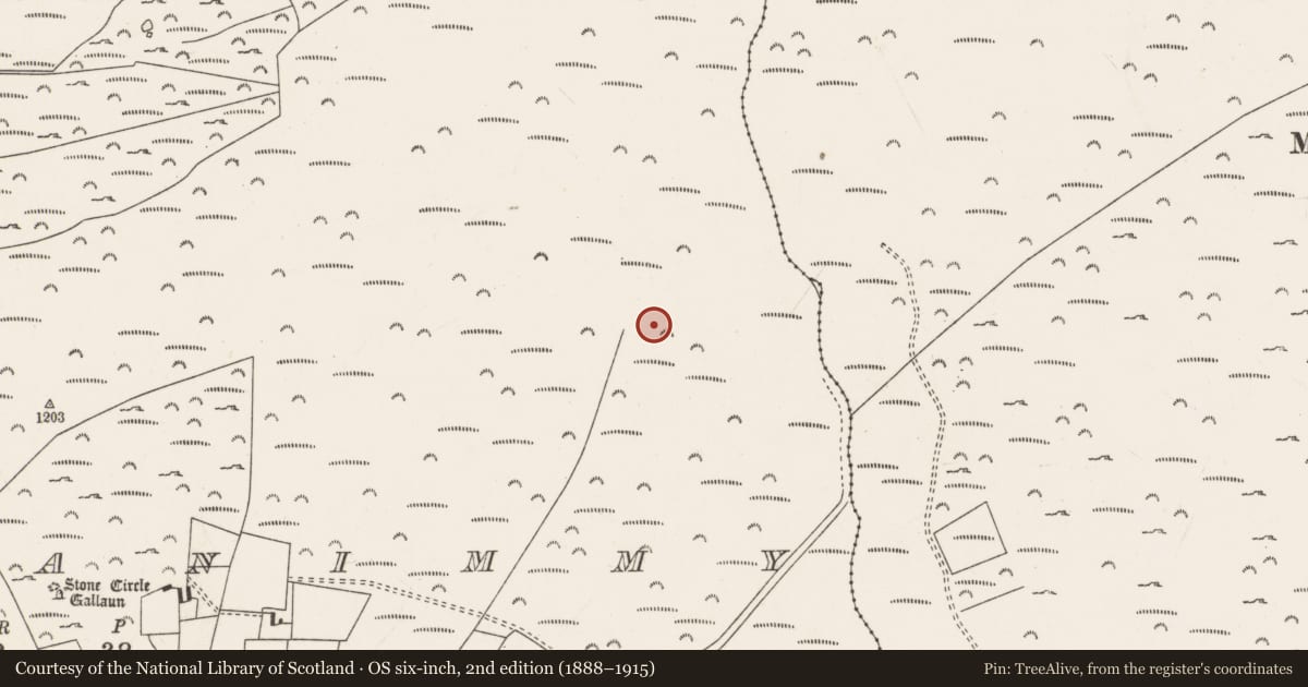 Ordnance Survey six-inch map, 2nd edition (1888–1915) covering the location of Standing stone, Carriganimmy, County Cork, with a pin at the register's coordinates