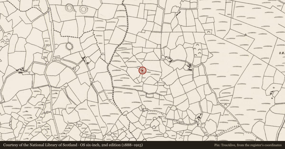 Ordnance Survey six-inch map, 2nd edition (1888–1915) covering the location of Burnt mound, Knocknakilla, County Cork, with a pin at the register's coordinates