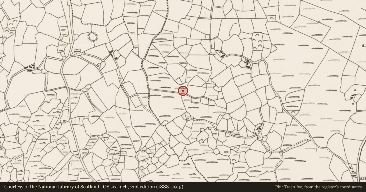 Ordnance Survey six-inch map, 2nd edition (1888–1915) covering the location of Burnt mound, Knocknakilla, County Cork, with a pin at the register's coordinates