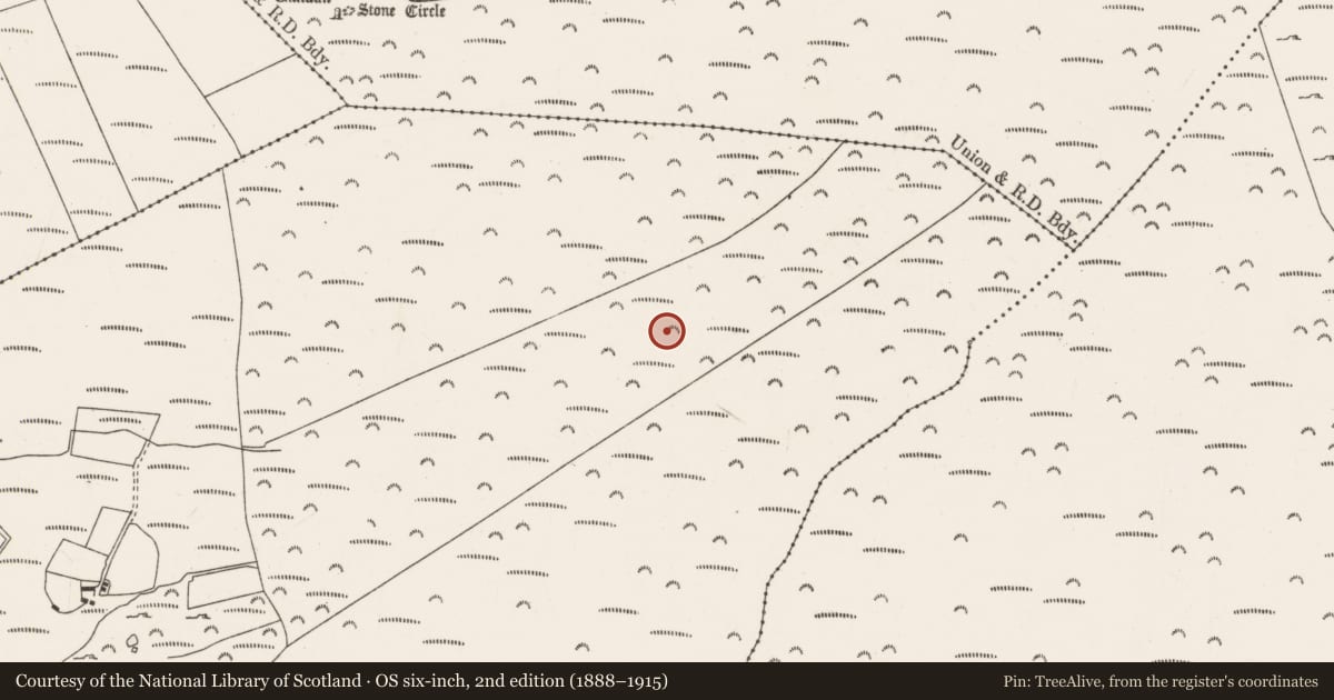 Ordnance Survey six-inch map, 2nd edition (1888–1915) covering the location of Hut site, Carriganimmy, County Cork, with a pin at the register's coordinates